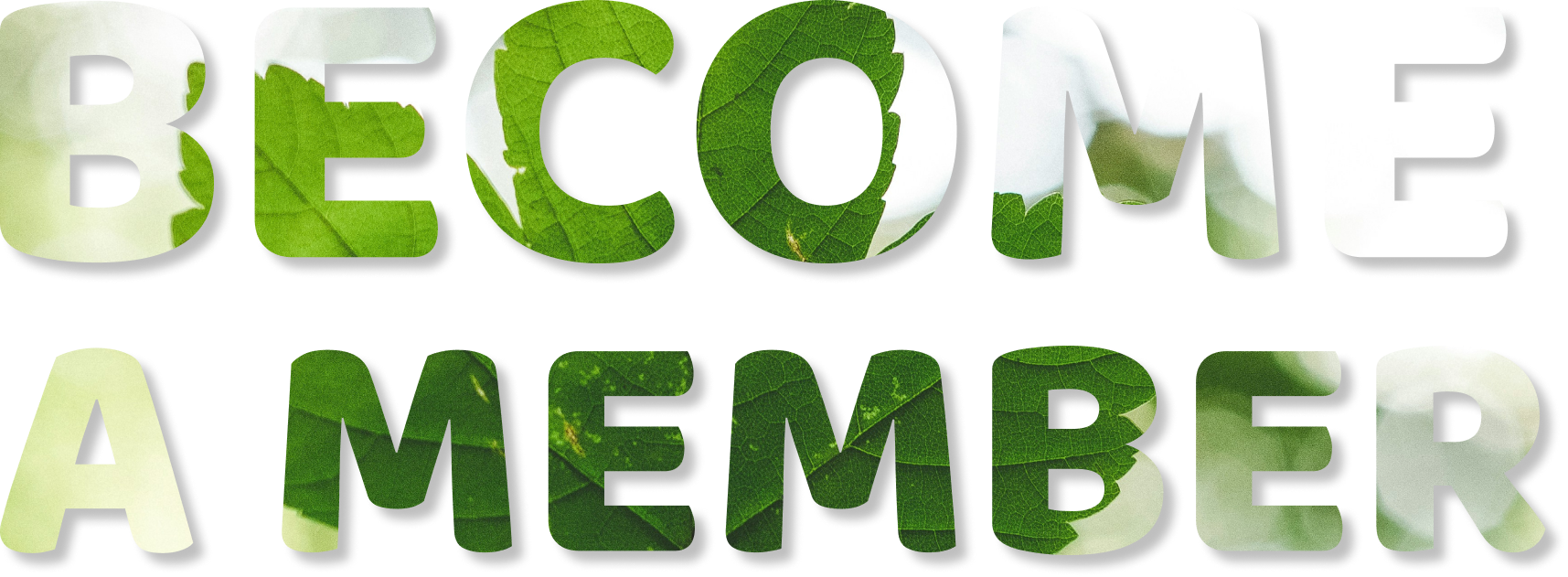 Become a Member