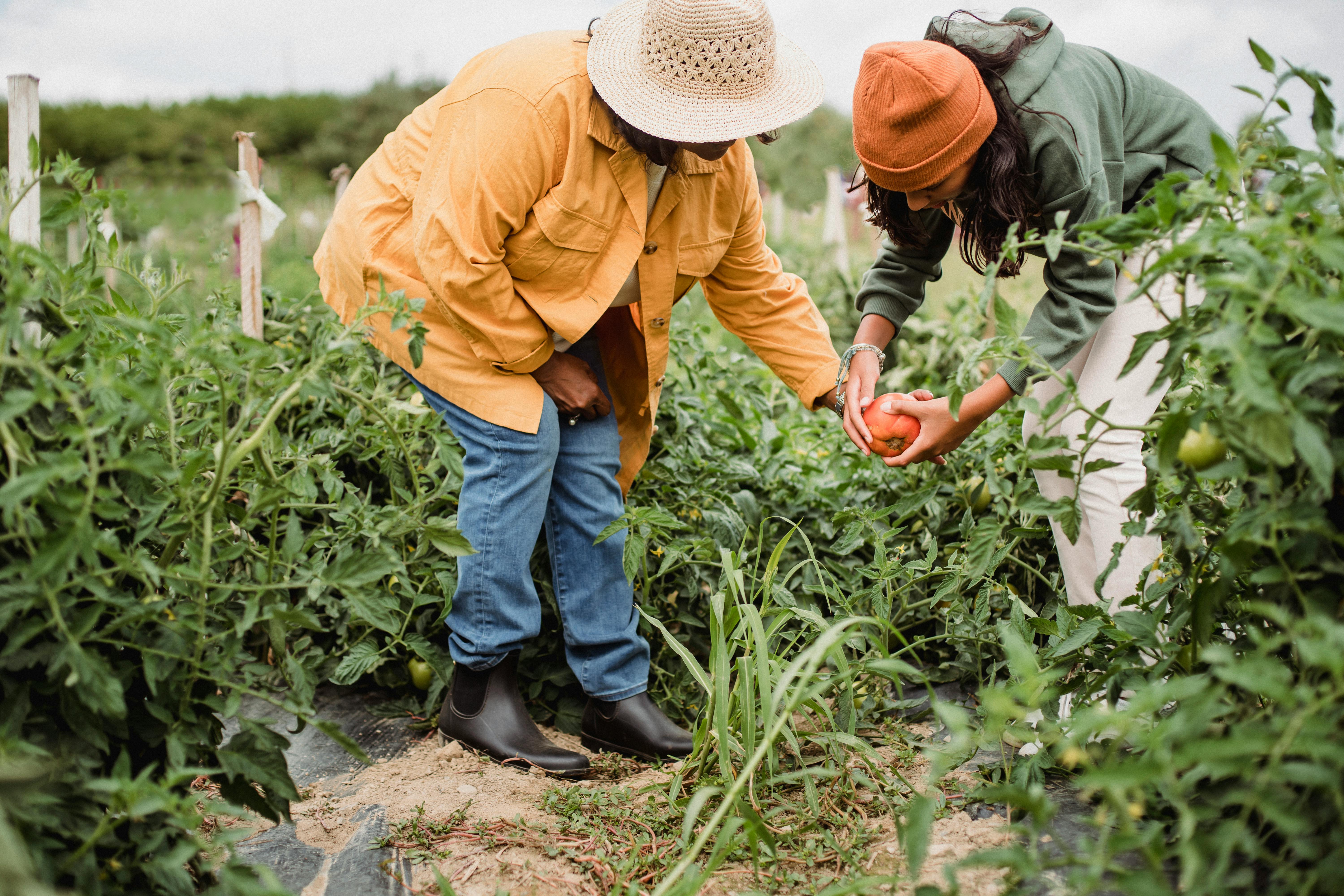 Building a Greener Tomorrow